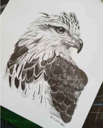 Original sketch artwork of a crested eagle