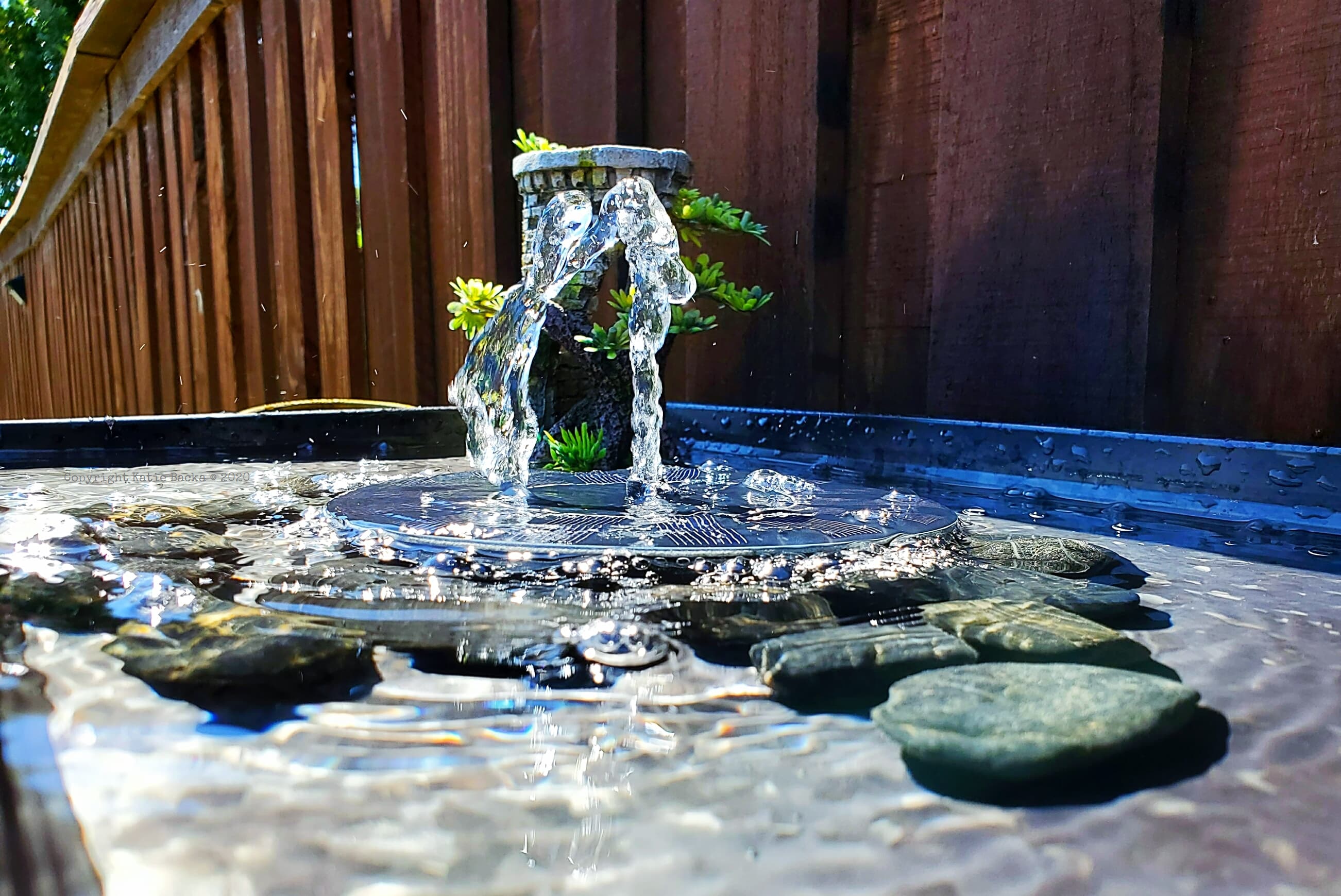 Upclose view of the bird bath water fountain