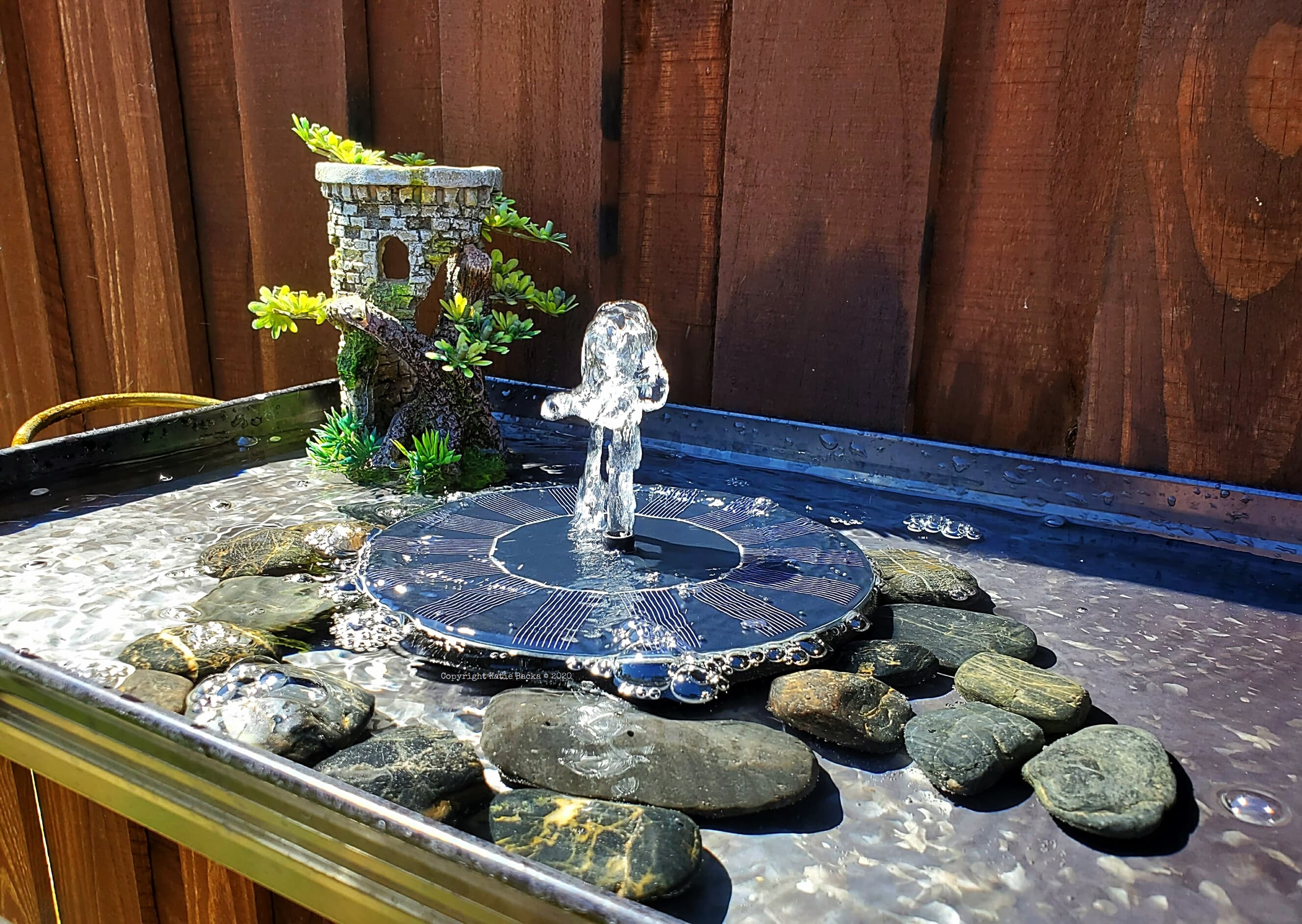 Upclose view of the bird bath water fountain